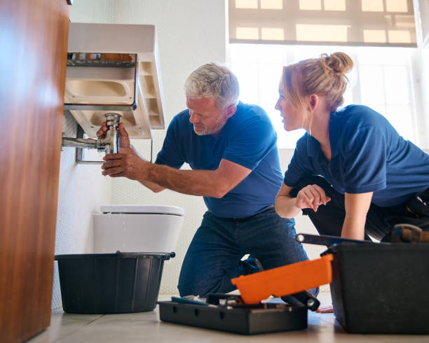 Best Local Plumber Services  in Prestbury, IL